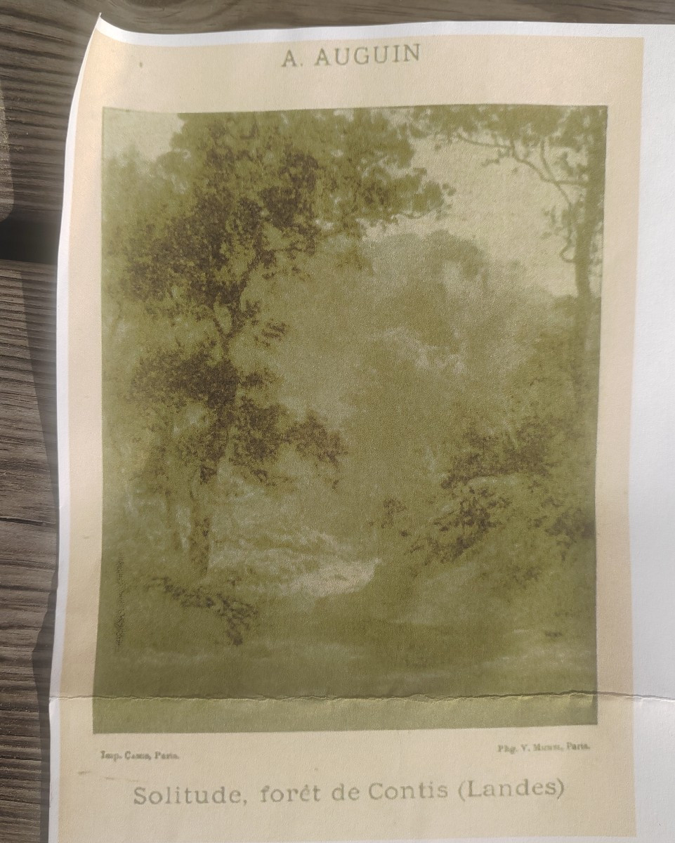 Contis Les Landes Louis Auguste Auguin ou atelier (1824-1903) -photo-2