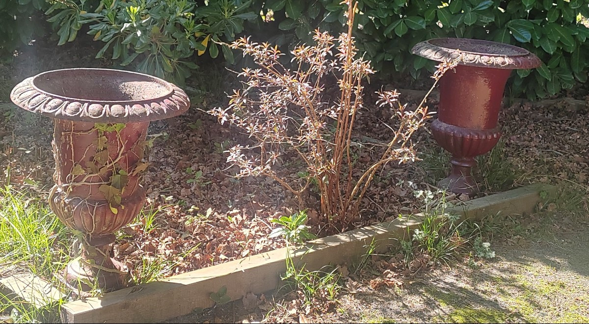 4 Vases medicis en fonte Hauteur 60 cm 