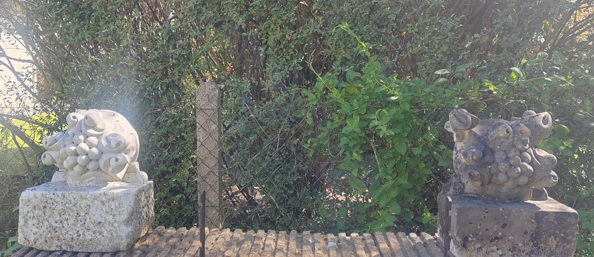 Paire serre Livres gothique en marbre 