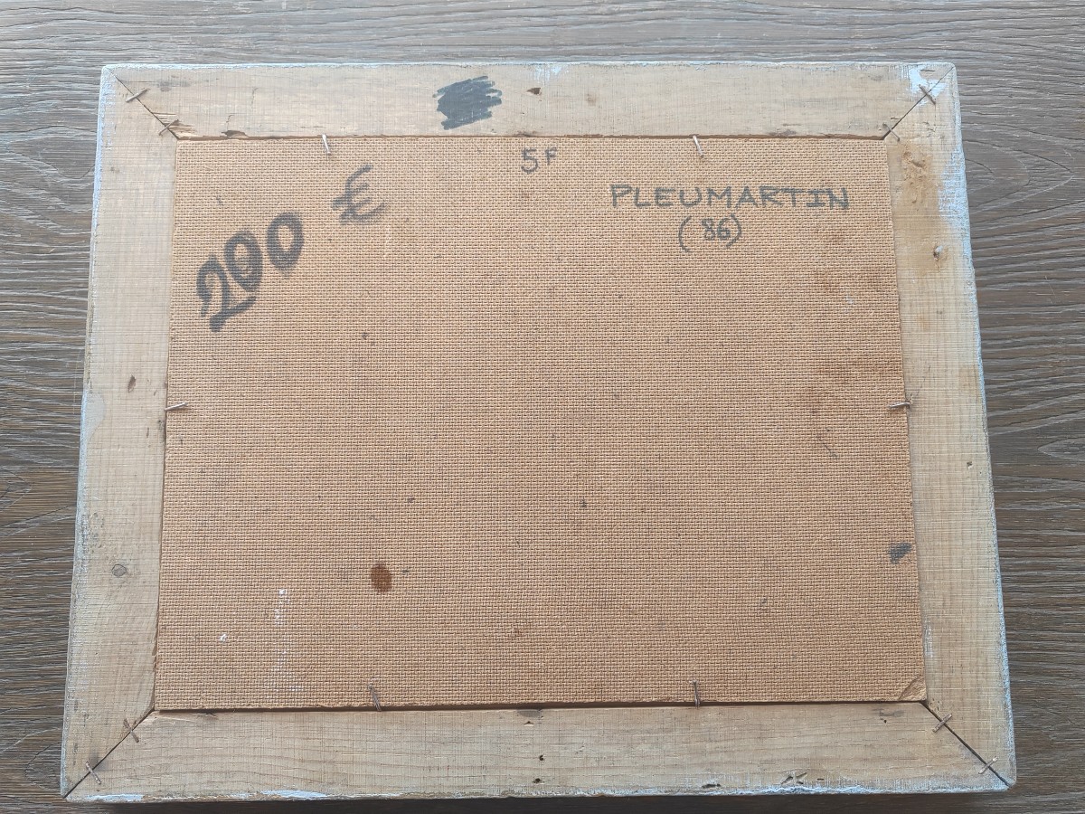 Pleumartin Albert Joulin-photo-4