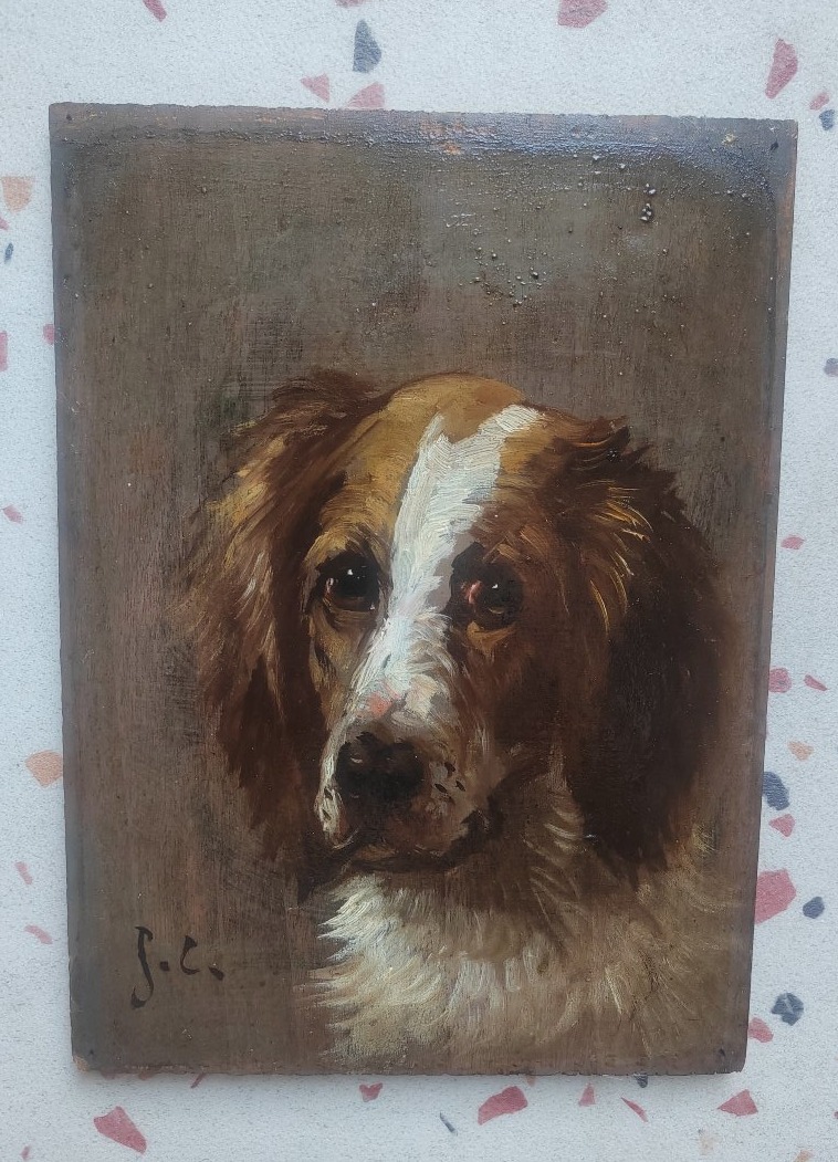 Portrait de chien épagneul par Jules Chardigny -photo-3