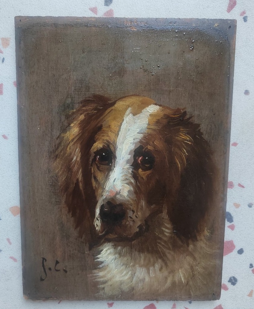 Portrait de chien épagneul par Jules Chardigny -photo-1
