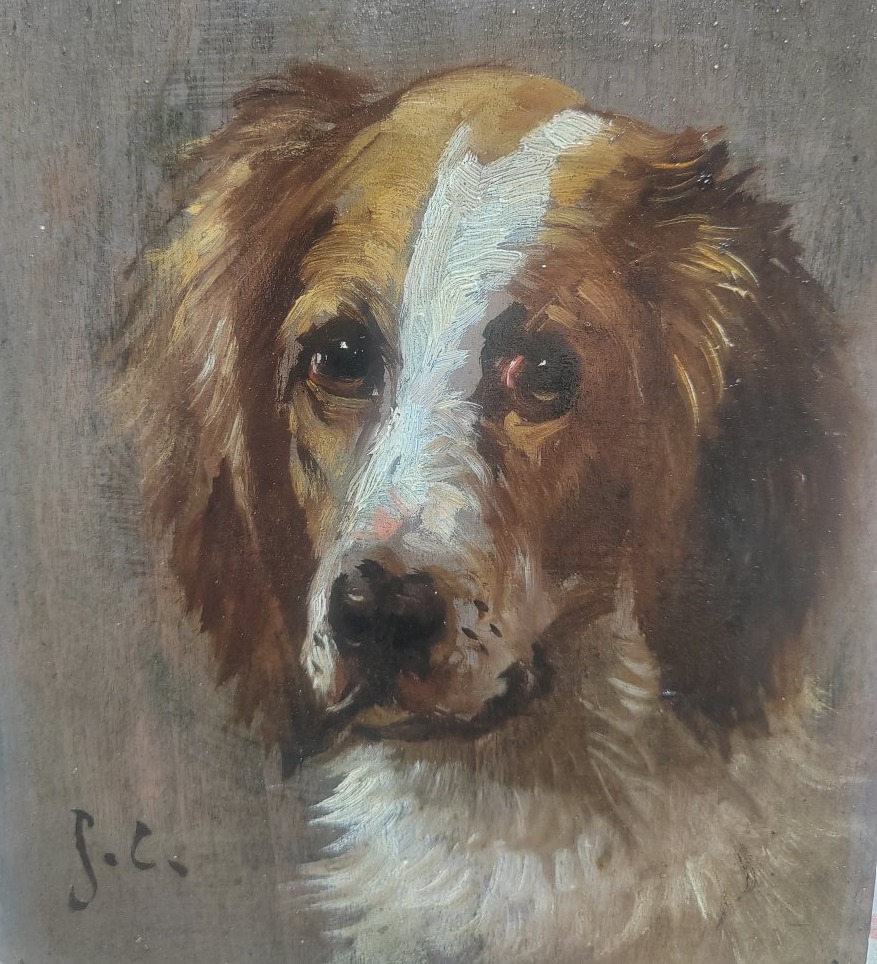 Portrait de chien épagneul par Jules Chardigny 