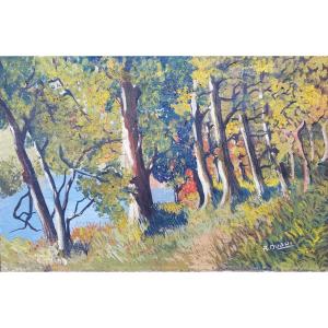 Roland Dubuc Luminous And Grand Landscape 