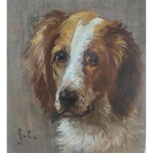 Portrait de chien épagneul par Jules Chardigny 