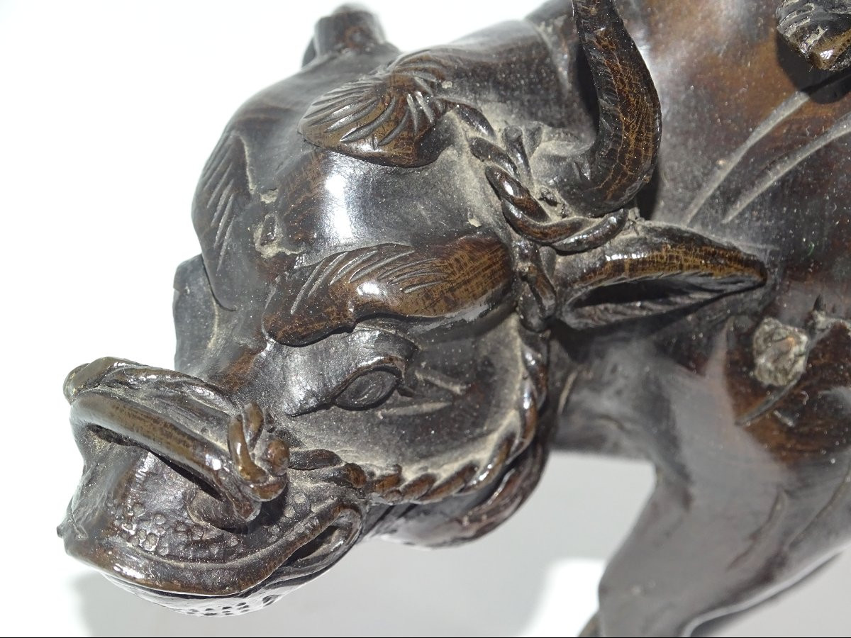 sage sur buffle en bronze du XIXème, vietnam ou japon-photo-4