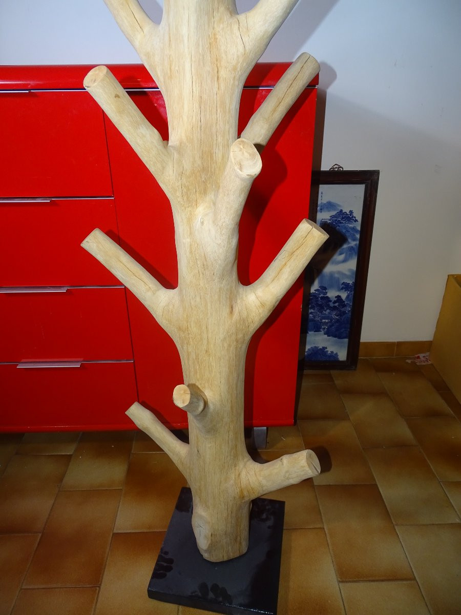 Porte manteau brutaliste en bois de Suar, design, 197 cm-photo-2