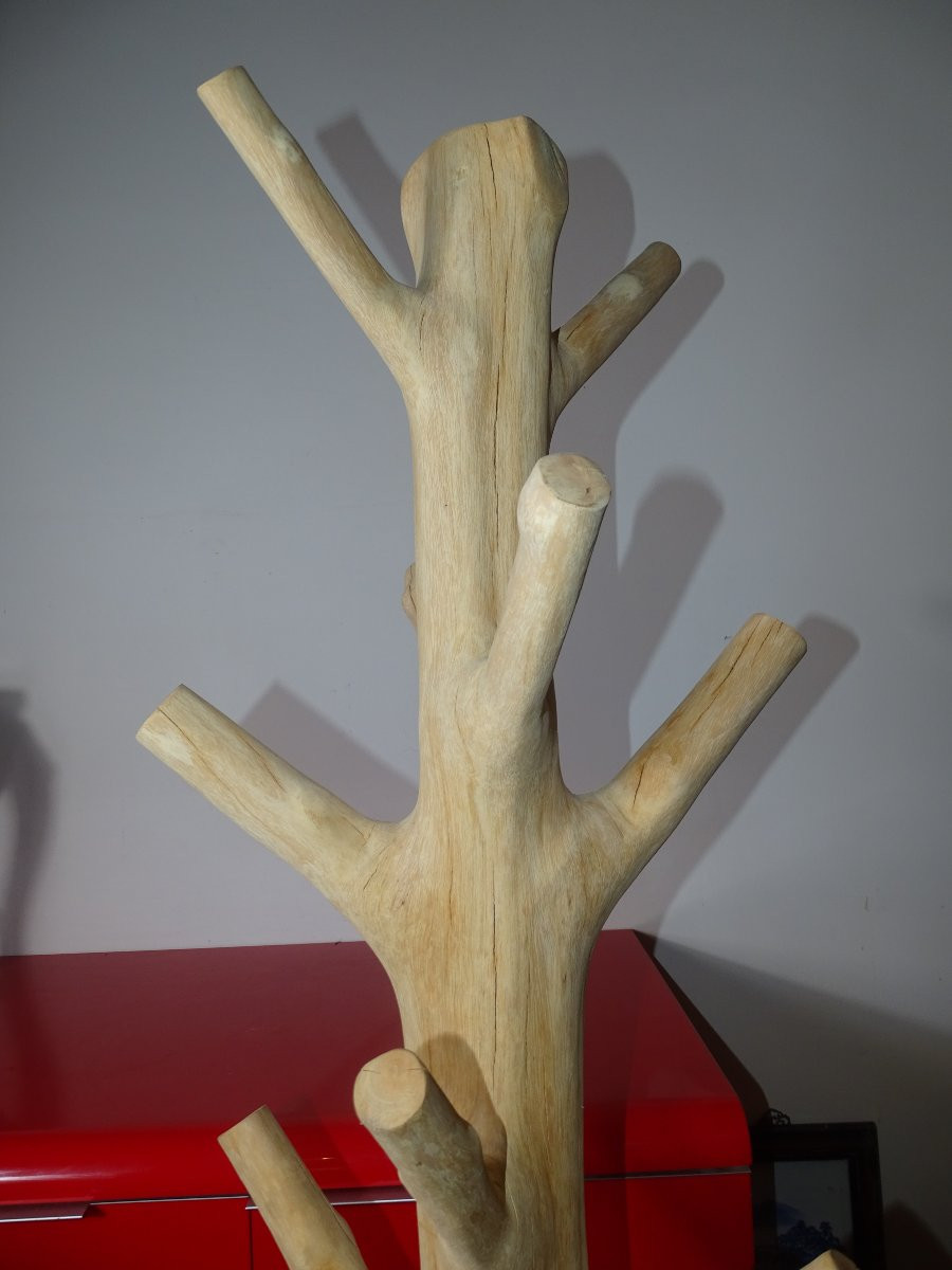 Porte manteau brutaliste en bois de Suar, design, 197 cm-photo-3