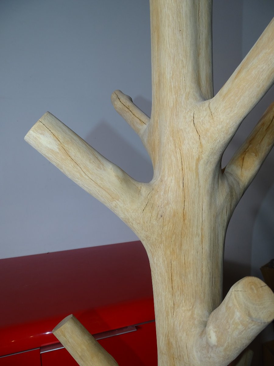Porte manteau brutaliste en bois de Suar, design, 197 cm-photo-4