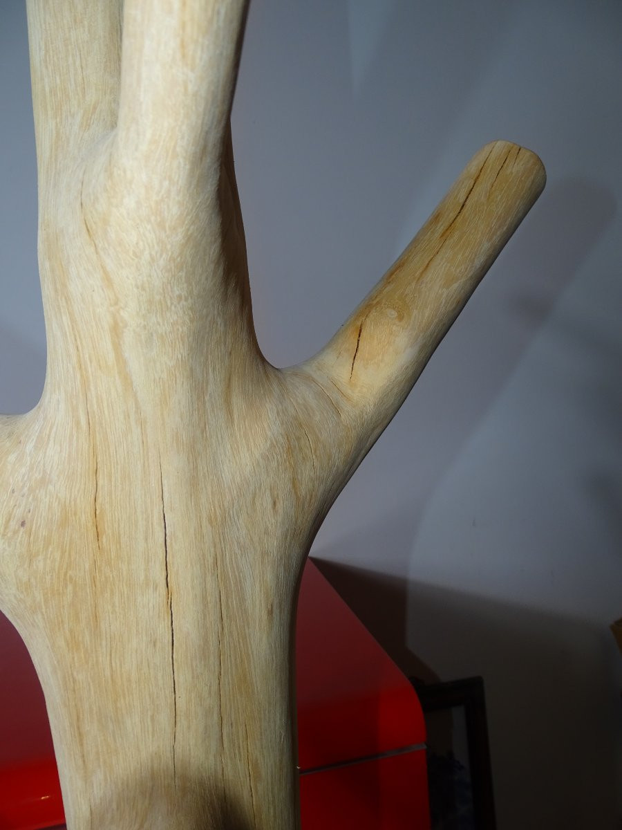 Porte manteau brutaliste en bois de Suar, design, 197 cm-photo-1