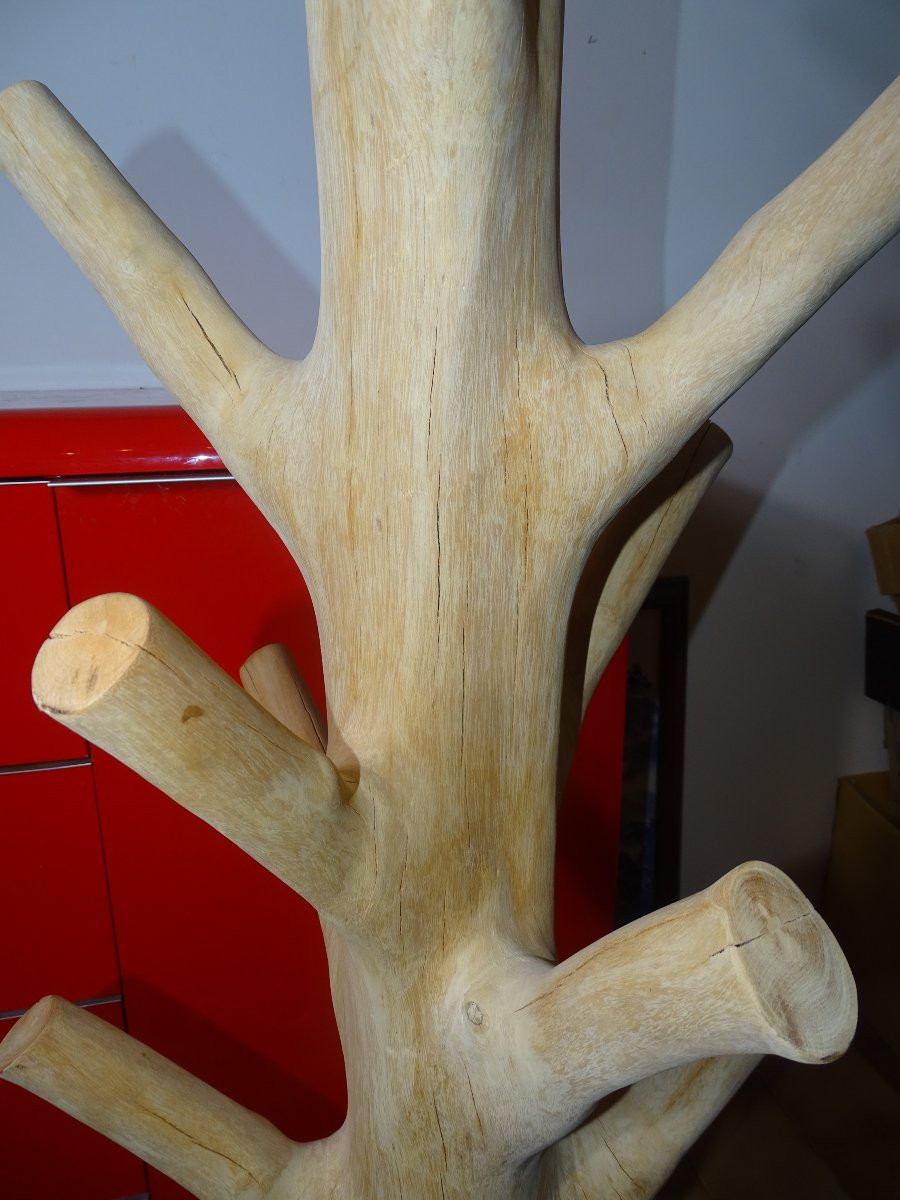Porte manteau brutaliste en bois de Suar, design, 197 cm-photo-2