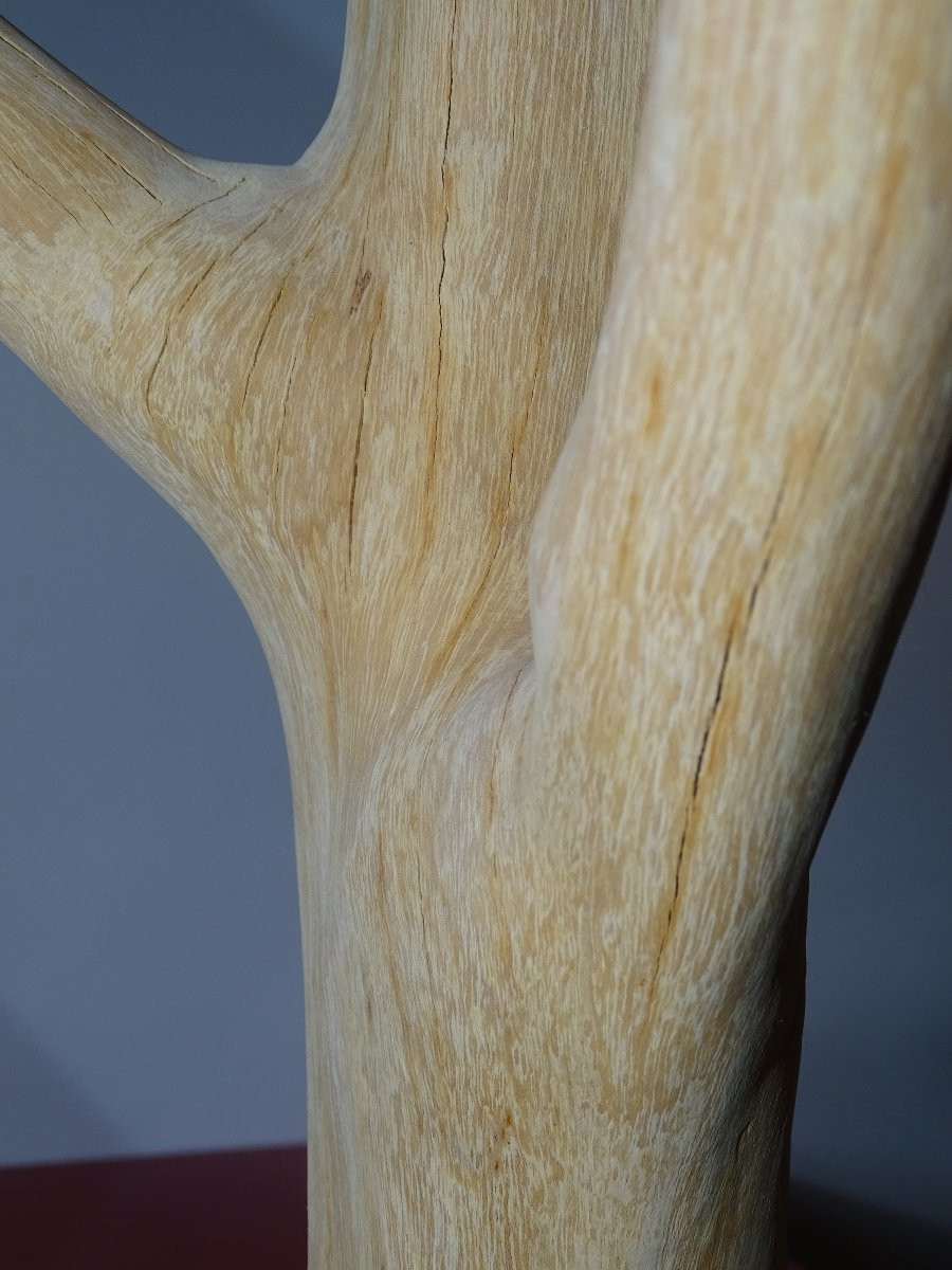 Porte manteau brutaliste en bois de Suar, design, 197 cm-photo-4