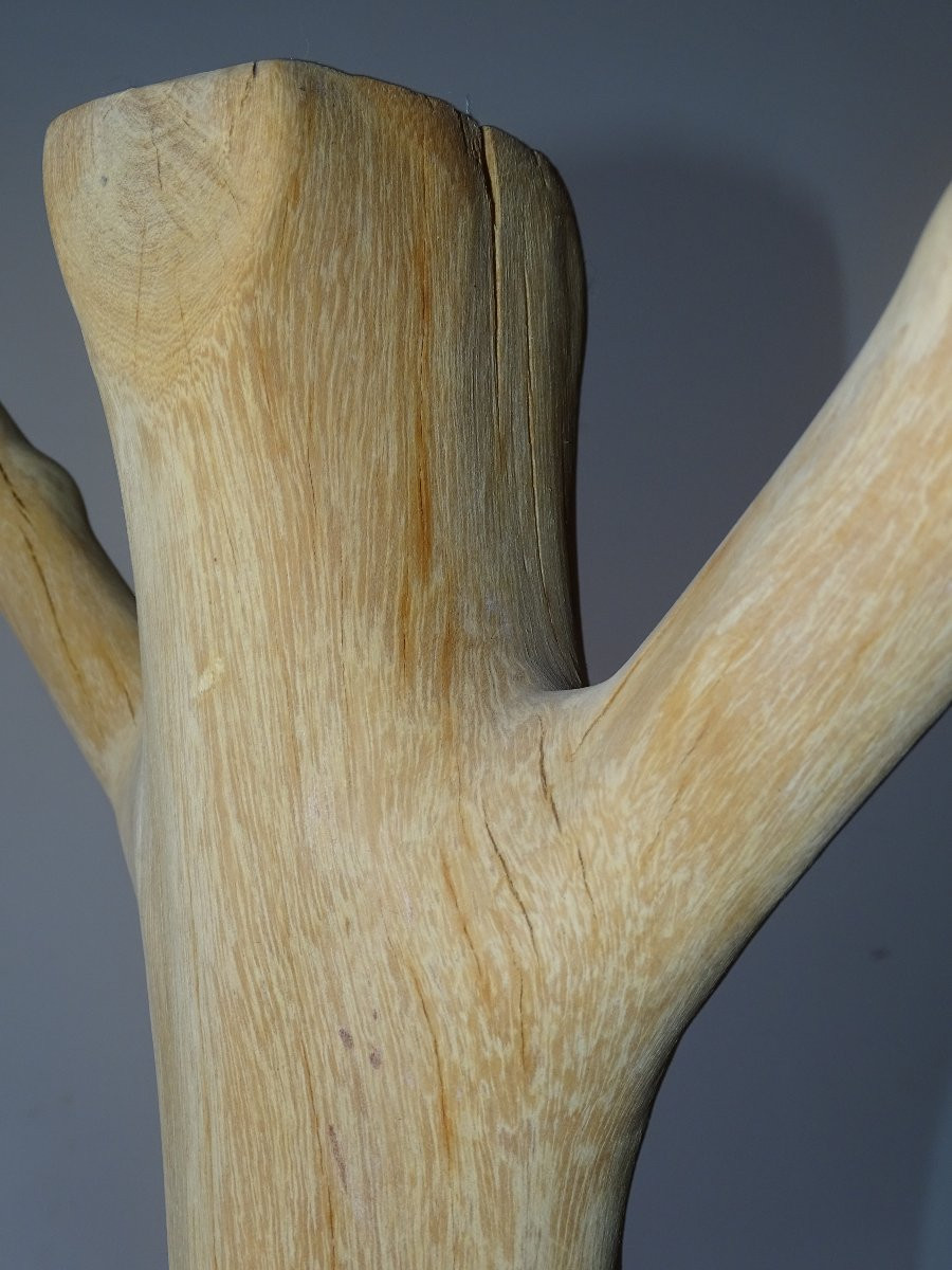 Porte manteau brutaliste en bois de Suar, design, 197 cm-photo-5