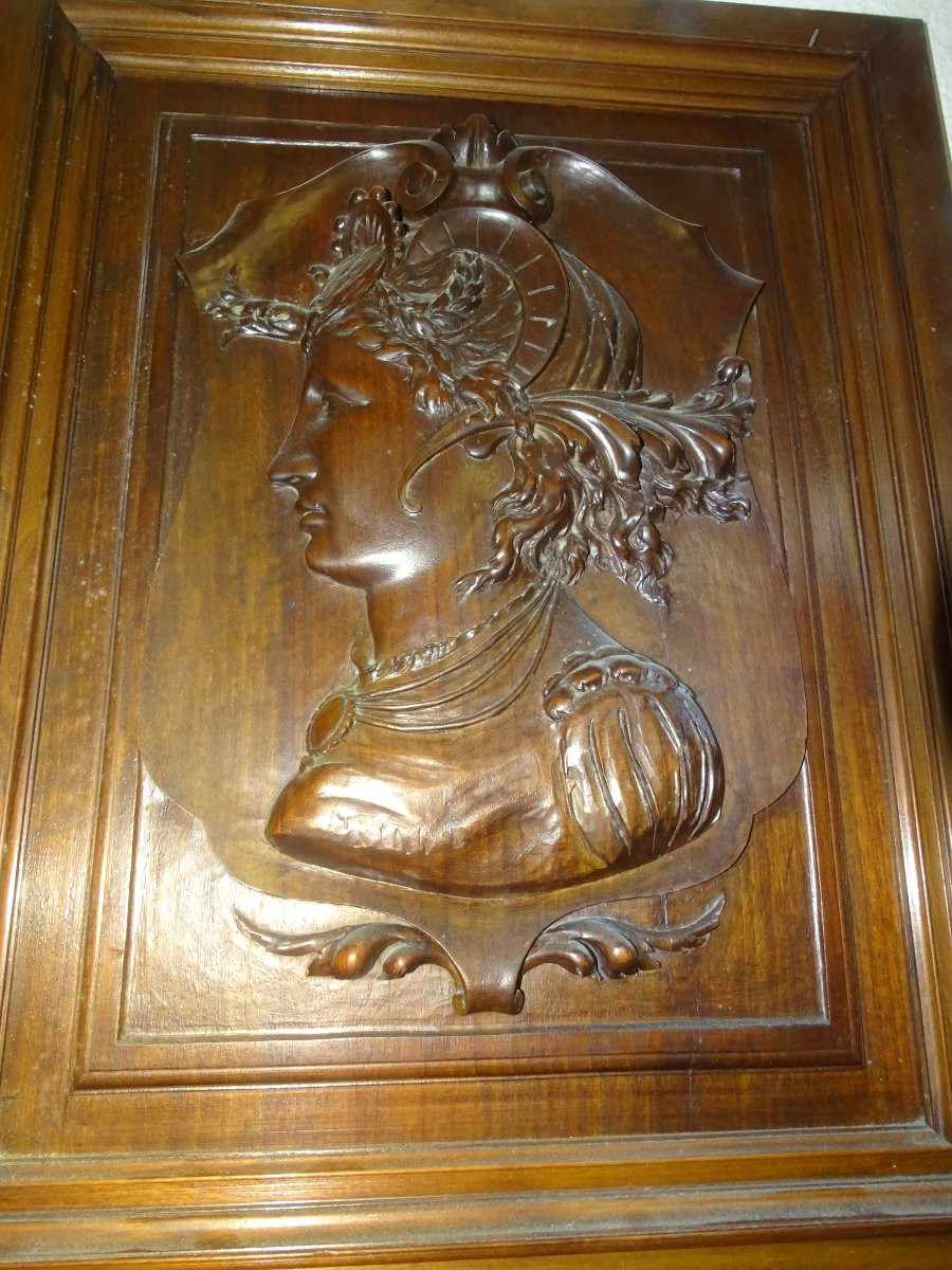 Beautiful Walnut Door Decorated With A Bust Of A Woman Wearing A Hairstyle, 19th Century-photo-3