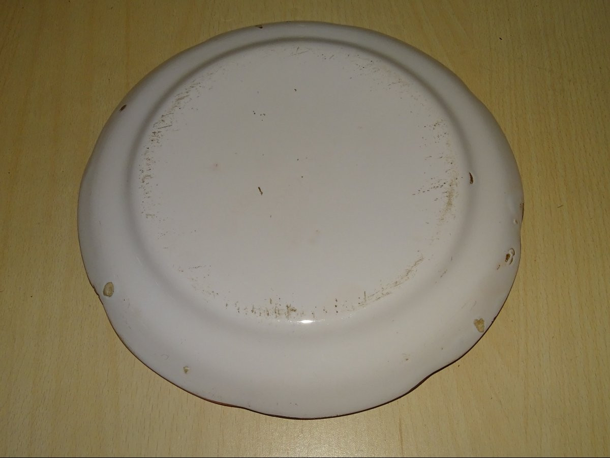 Les Islettes. Assiette en faïence décor polychrome au paon, XVIII-XIXe siècle-photo-4