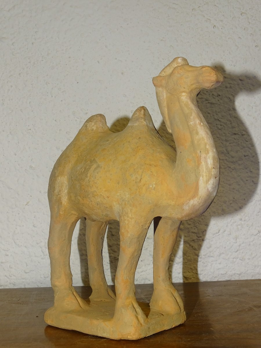 China - Camel - Tang Dynasty - 20.5 Cm-photo-2