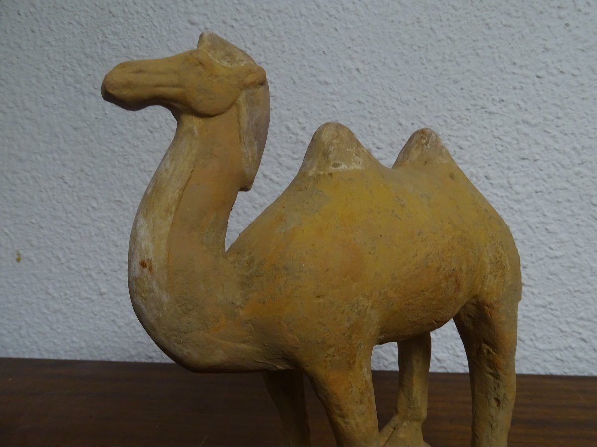 China - Camel - Tang Dynasty - 20.5 Cm-photo-3