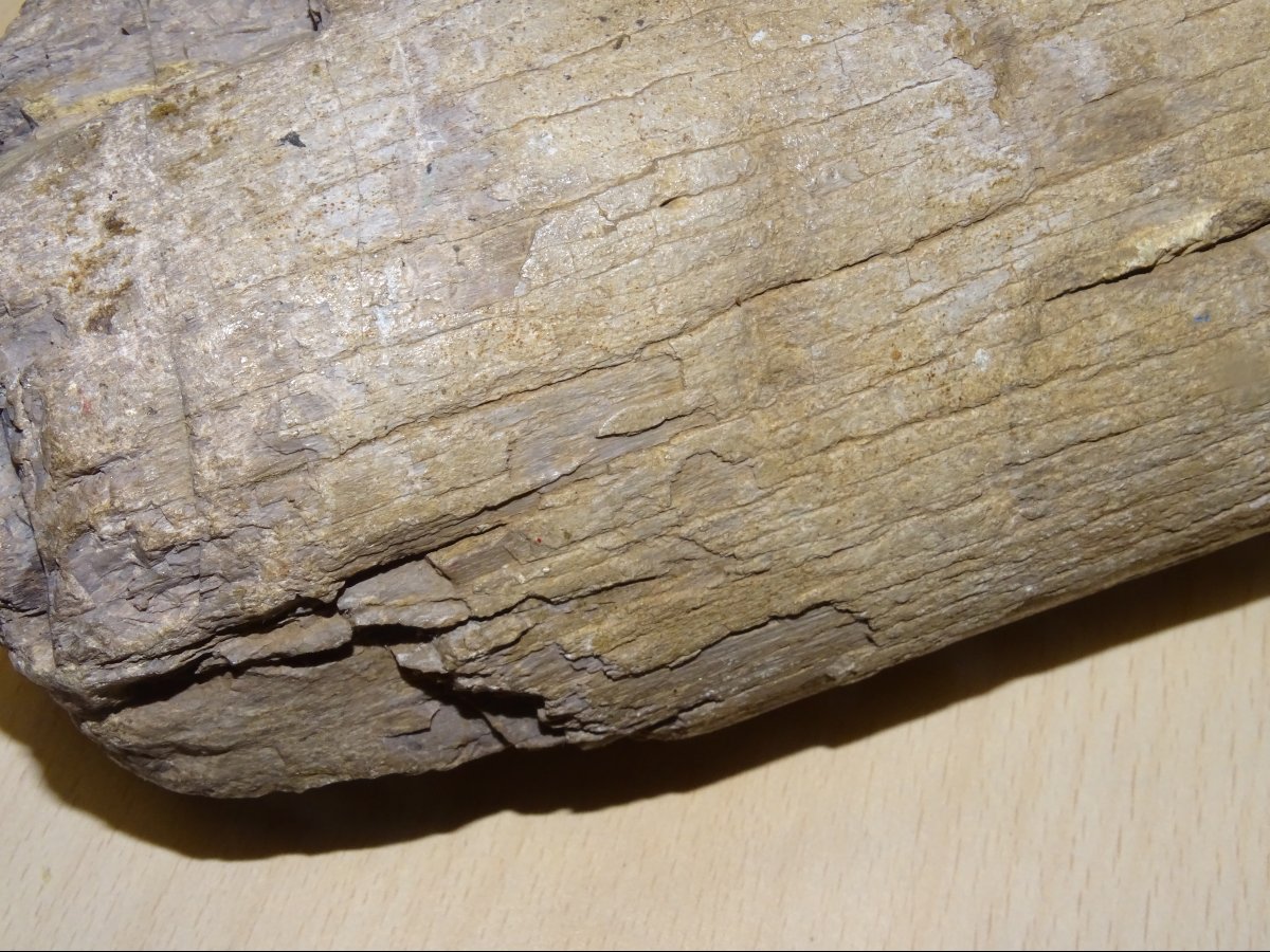 Madagascar Dinosaur Bone, Mineralized Fossil (spinosaurus?) 6kg300-photo-4