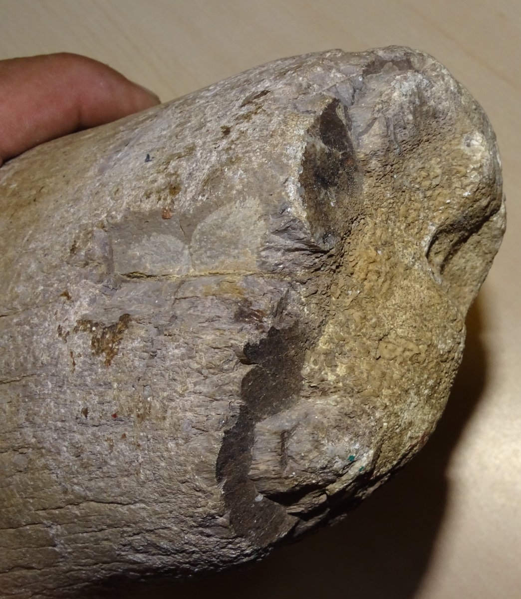 Madagascar Dinosaur Bone, Mineralized Fossil (spinosaurus?) 6kg300-photo-2