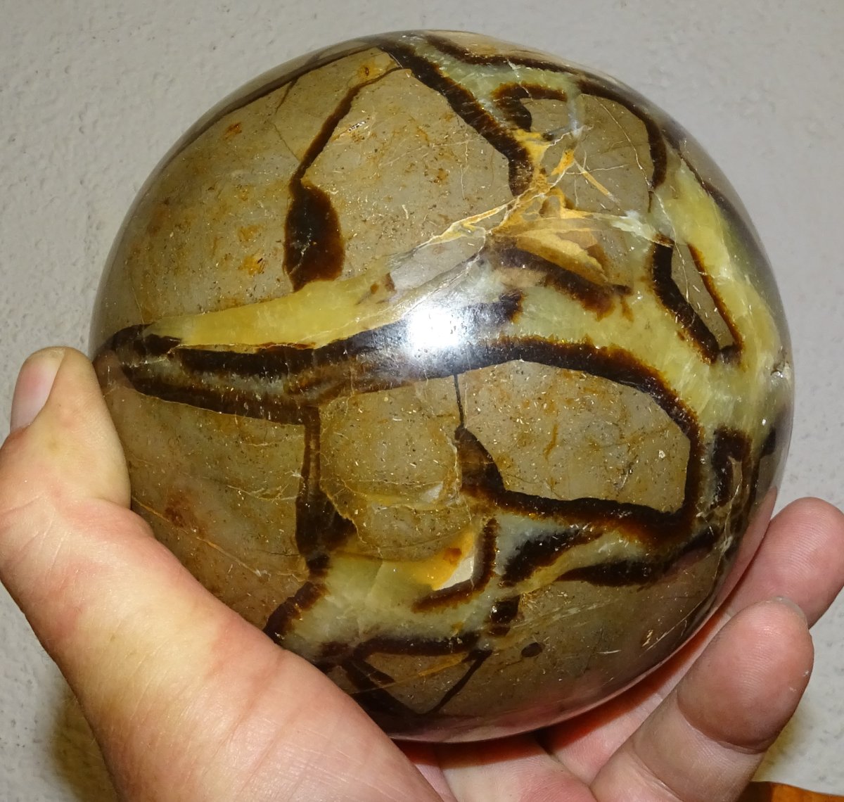 Large Polished Septaria Sphere ☆ Diameter: 135 Mm / Weight: 3.25 Kg ☆ Natural Mineral-photo-2
