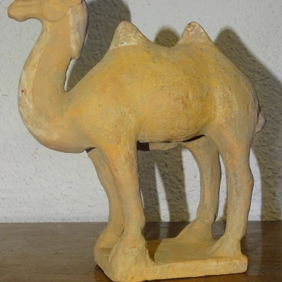 Premiere-Image-1737787