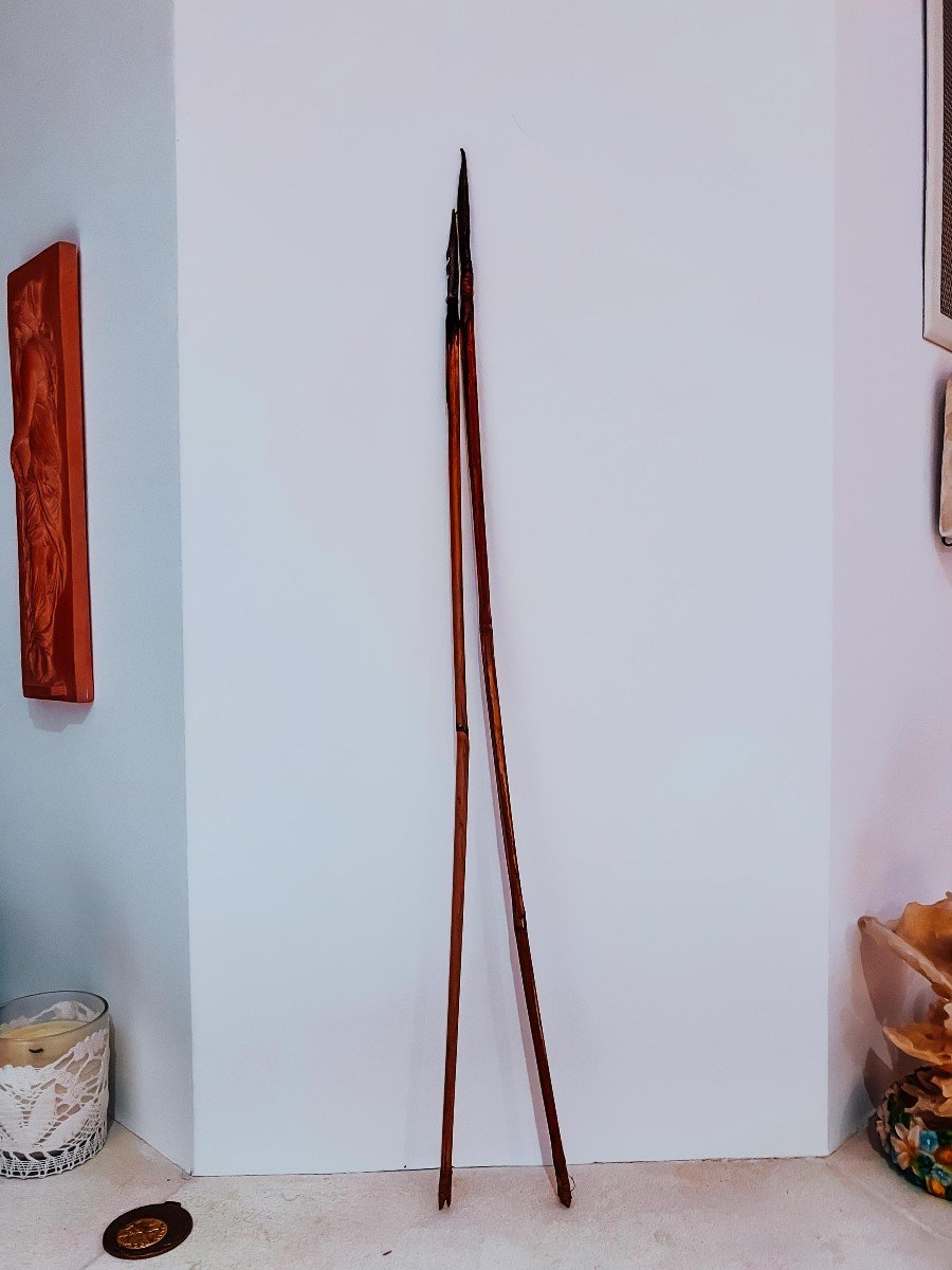 Lot De 10 Flèches Anciennes En Bois Avec Plumes Et Carquois En Cuir - État Brut