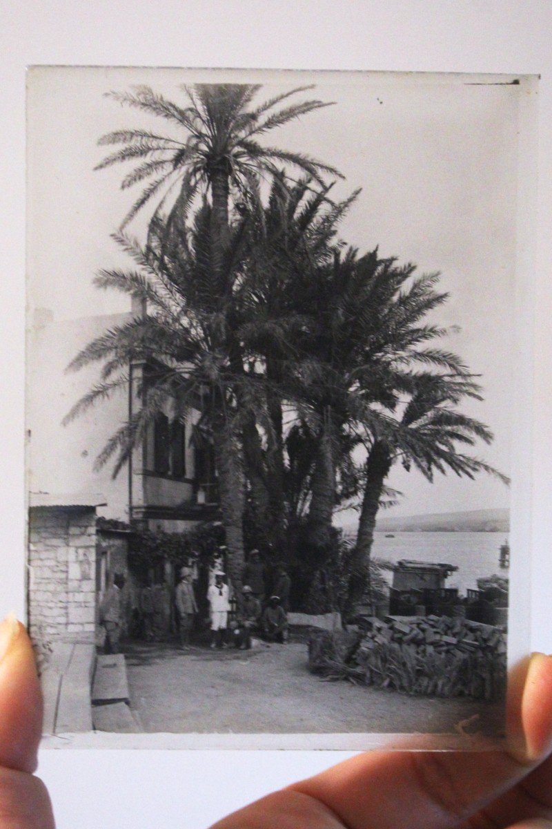 Vintage Photographic Glass Plates, Late 19th Century, Early 20th Century, From The German Colon-photo-2