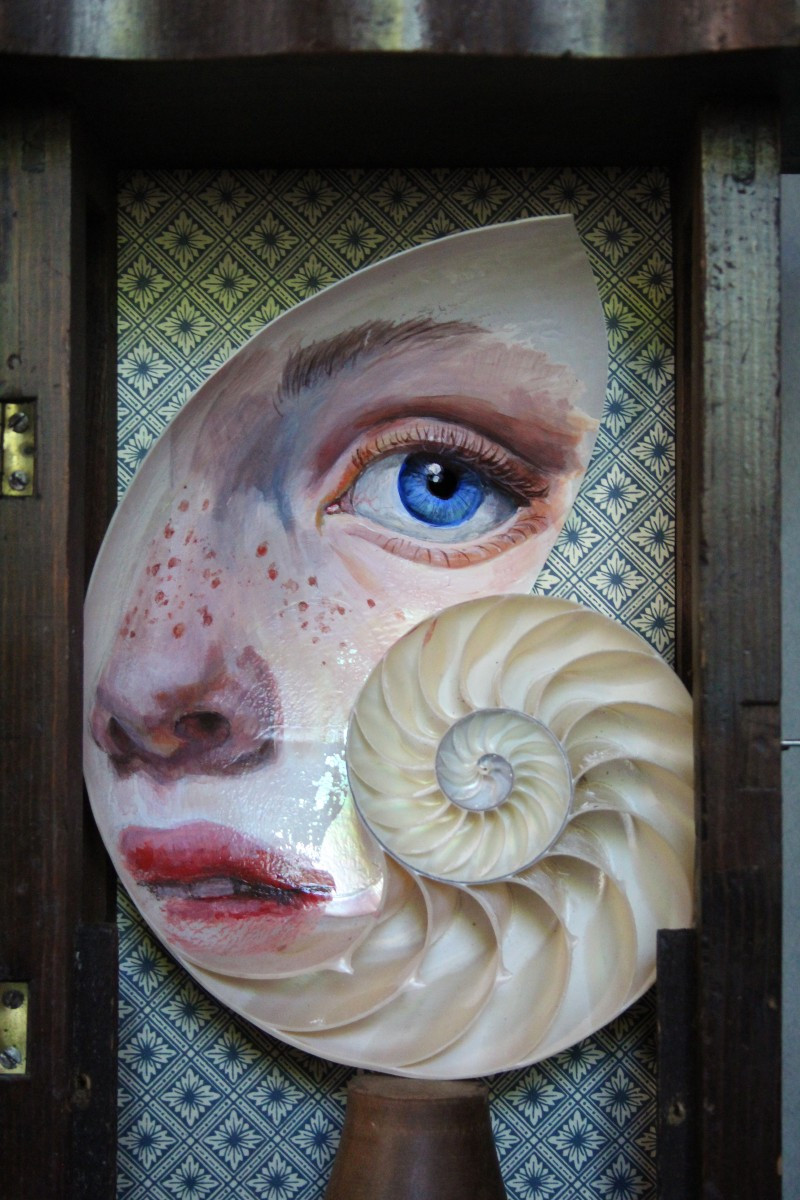 Mater Abyssi N°1 – Antique Wooden Display Case With Hand-painted Nautilus-photo-7