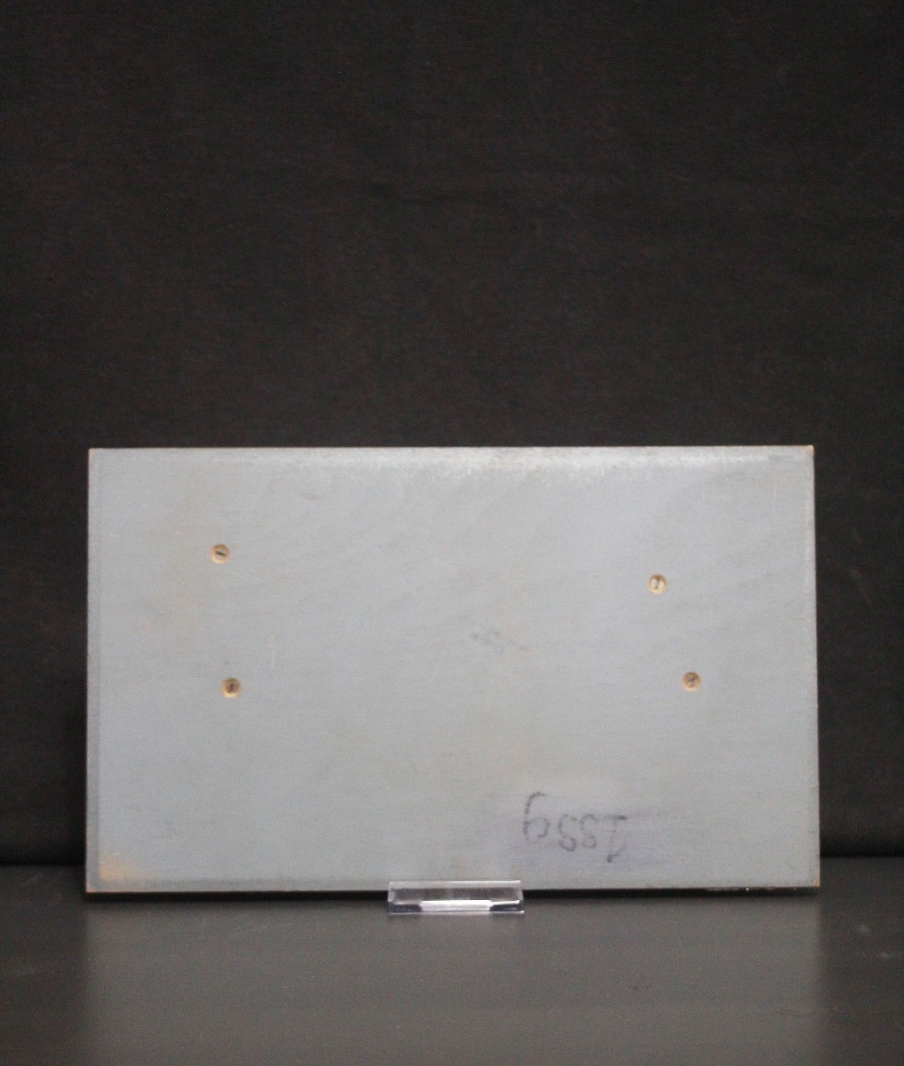 Modèle pédagogique vintage Somso, cellules végétales-photo-4