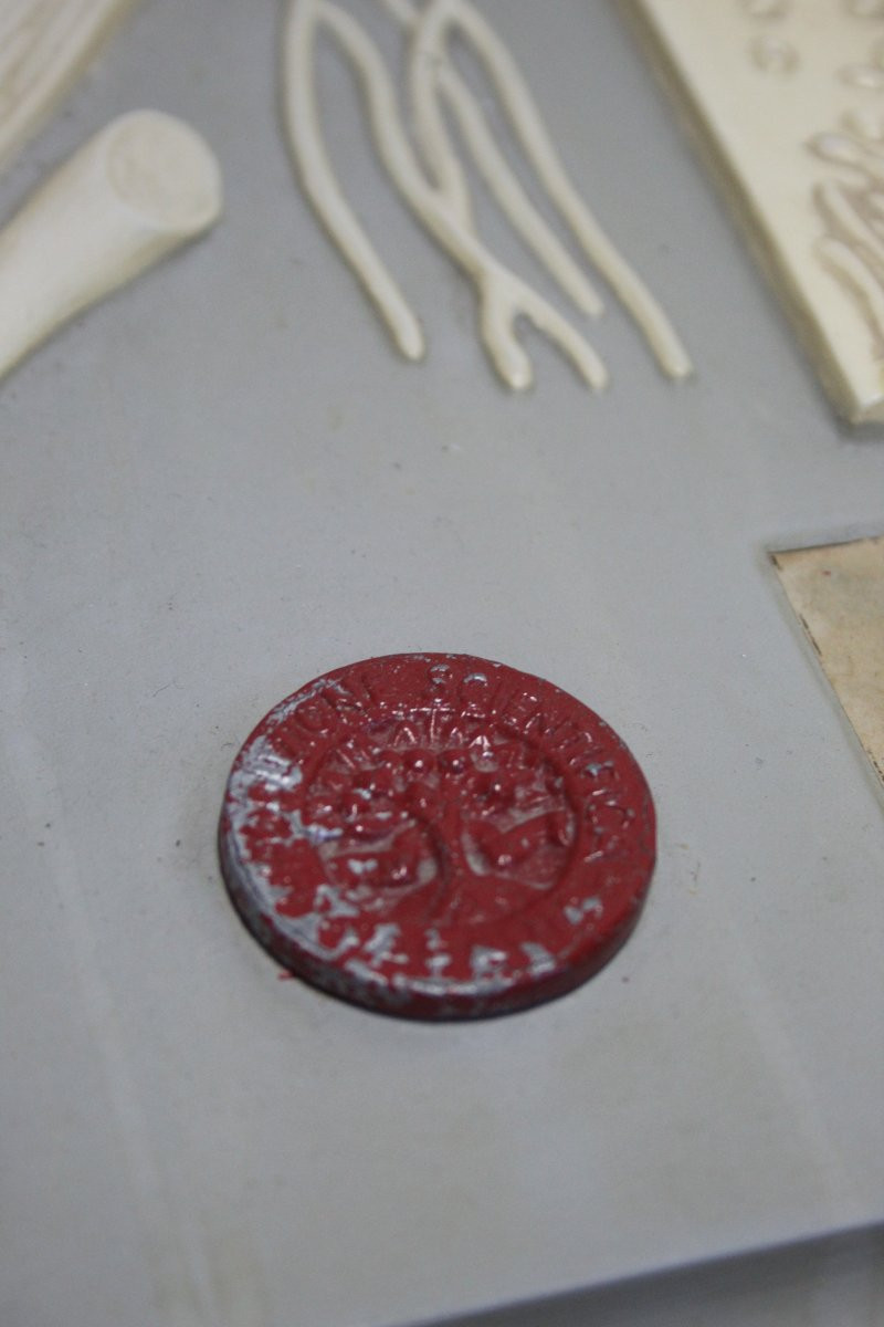 Vintage Botanical Teaching Model Paravia – Segale Cornuta-photo-2