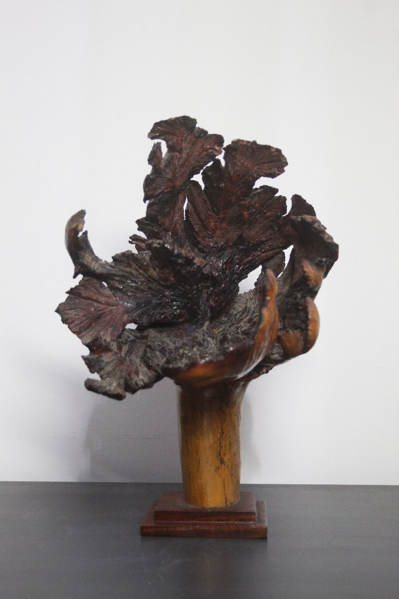 Sculptures naturelles, loupe – Formations organiques spontanées-photo-2