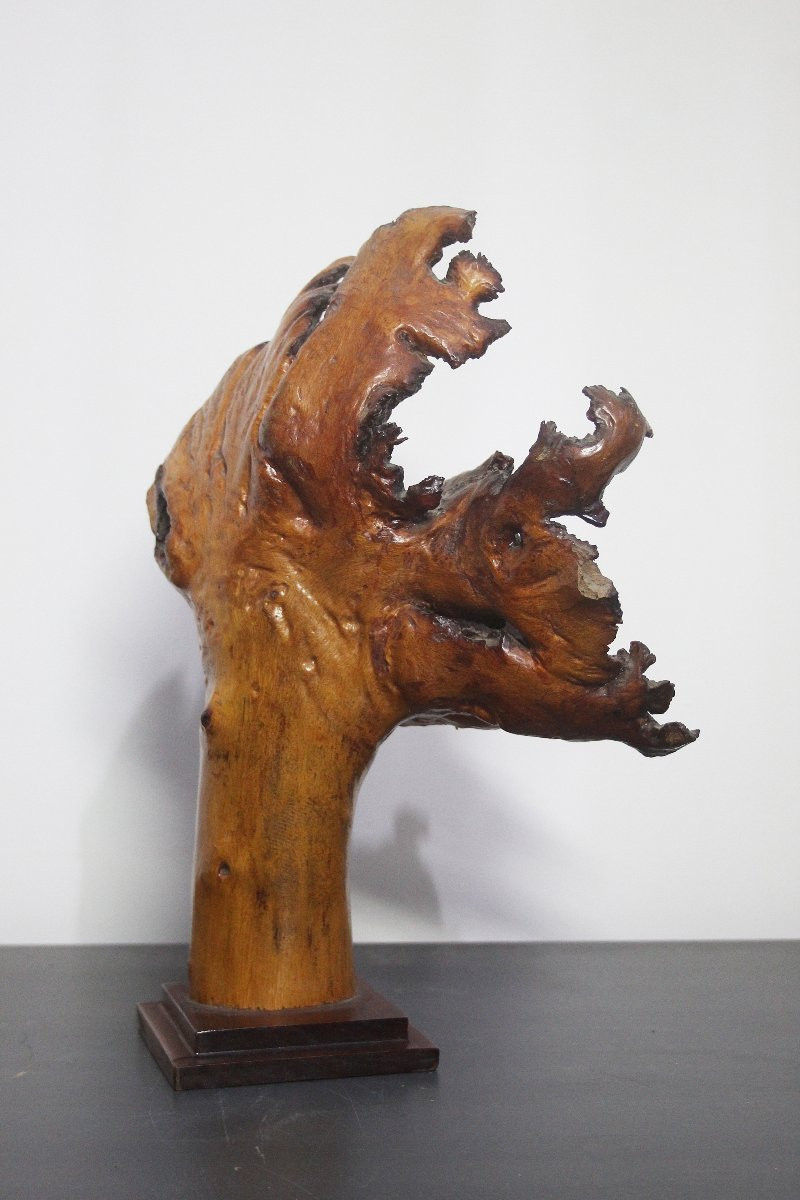 Sculptures naturelles, loupe – Formations organiques spontanées-photo-3