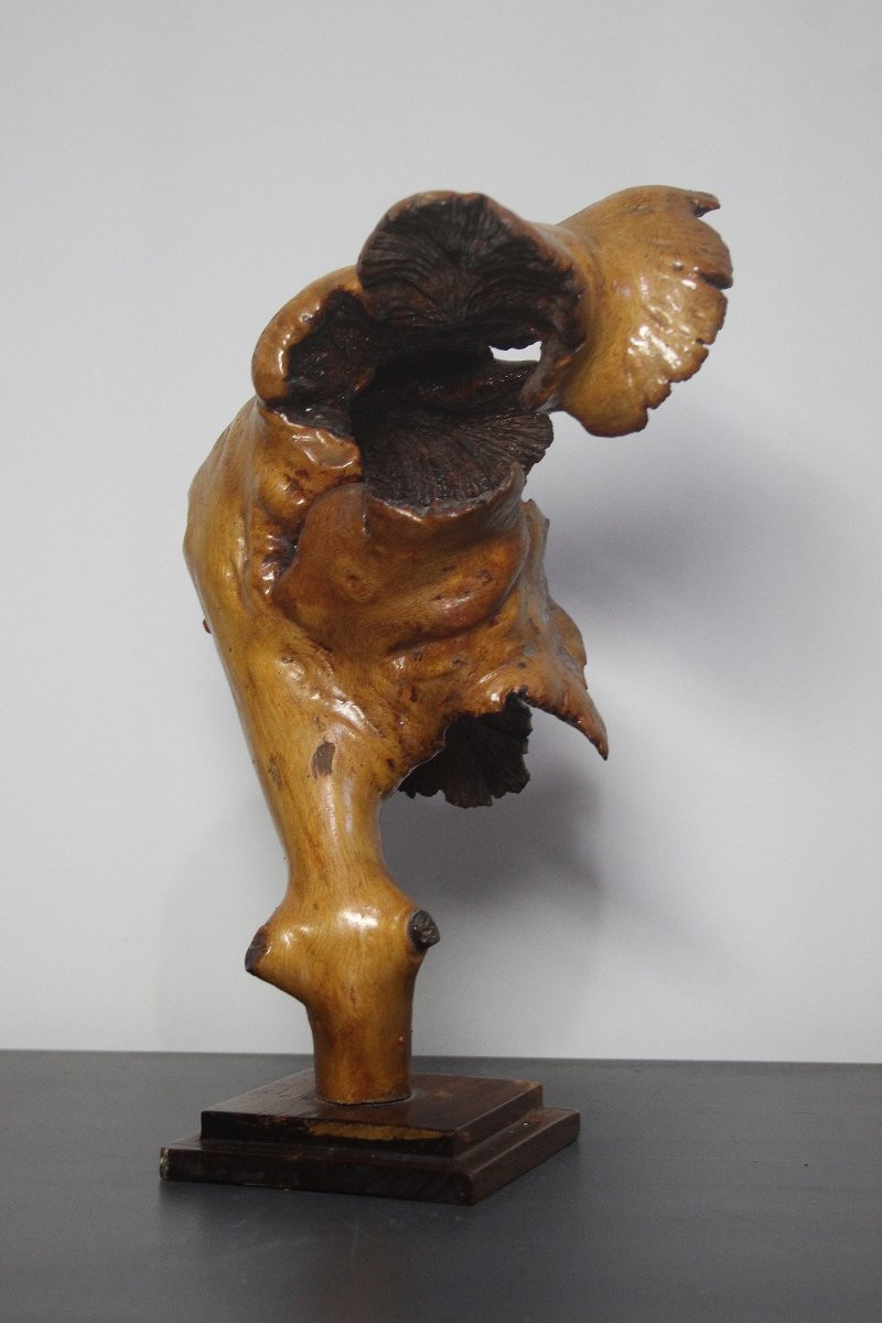 Sculptures naturelles, loupe – Formations organiques spontanées-photo-5