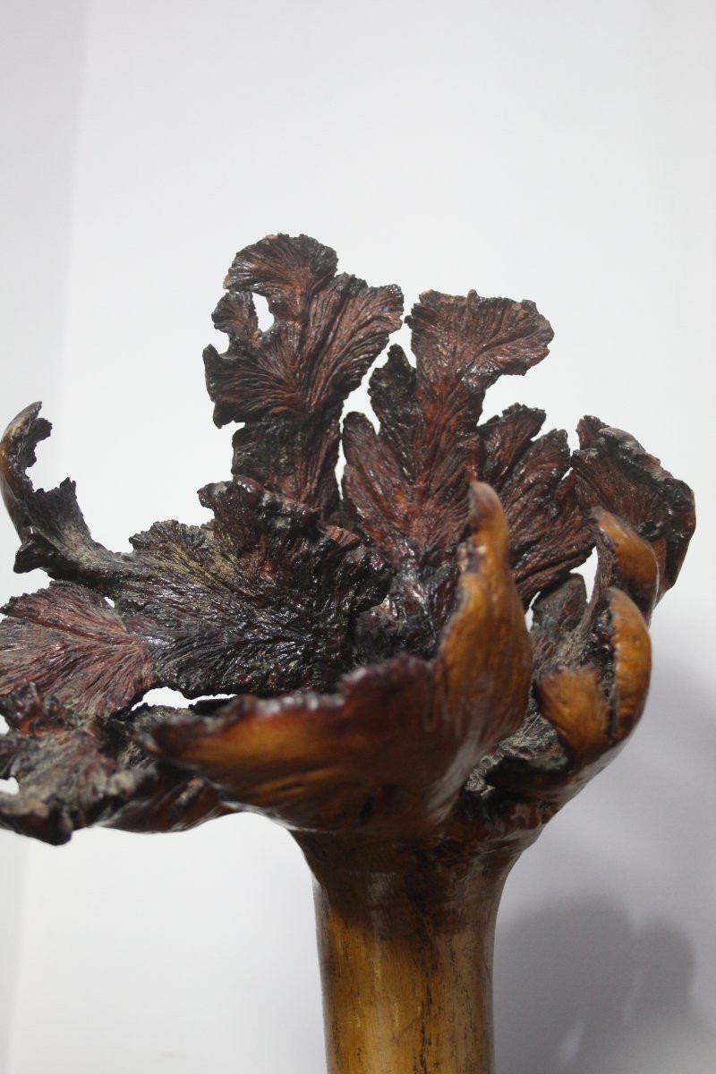 Sculptures naturelles, loupe – Formations organiques spontanées-photo-6