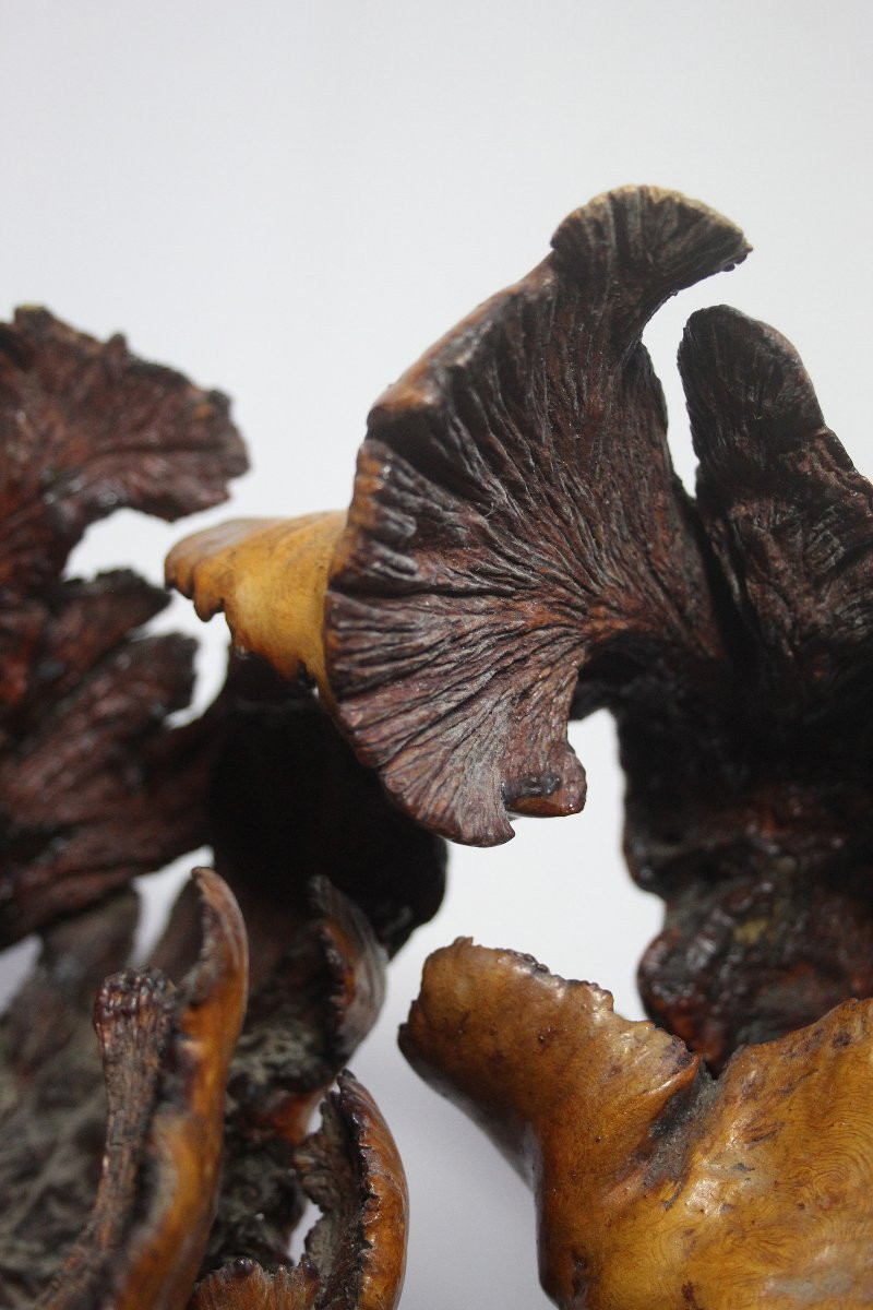 Sculptures naturelles, loupe – Formations organiques spontanées-photo-7