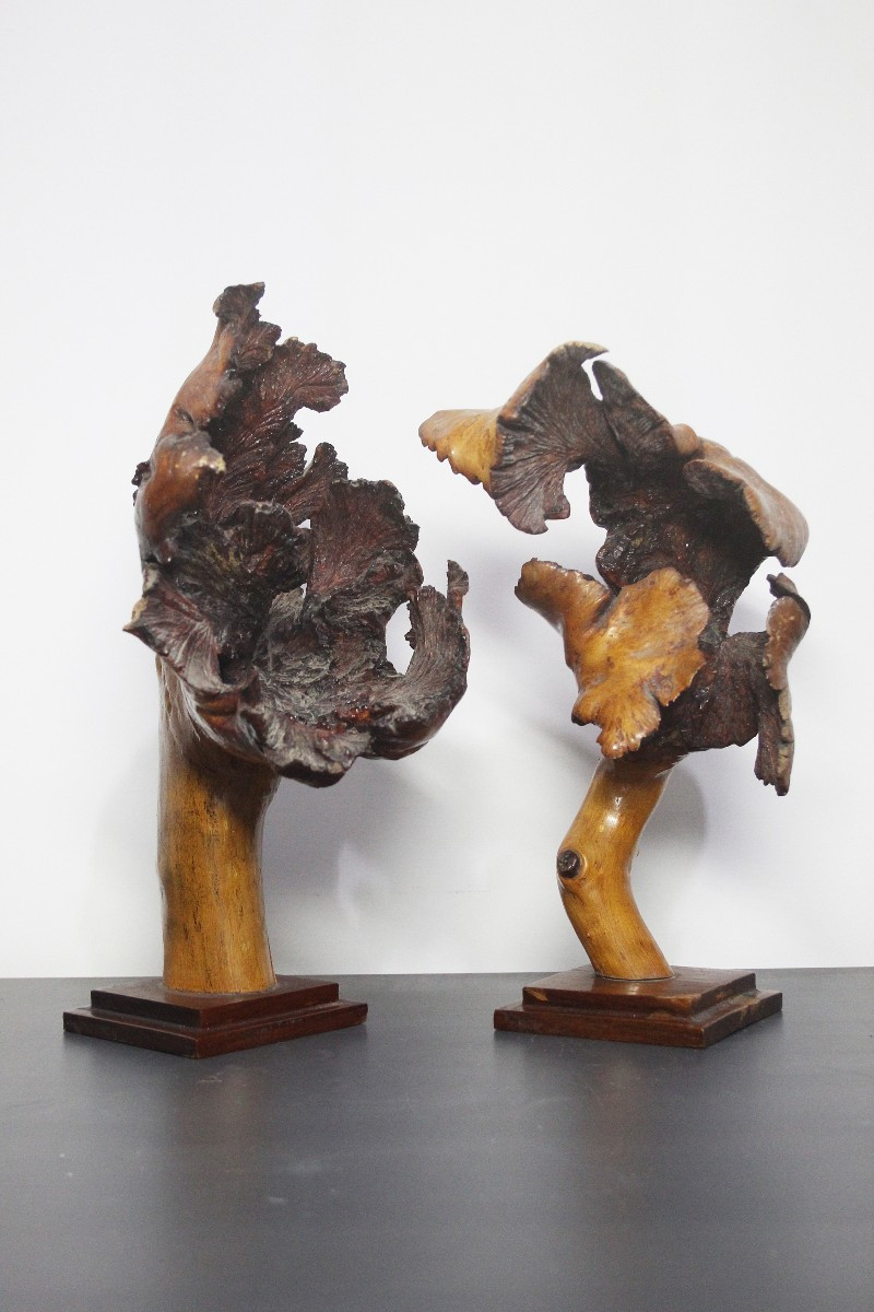 Sculptures naturelles, loupe – Formations organiques spontanées