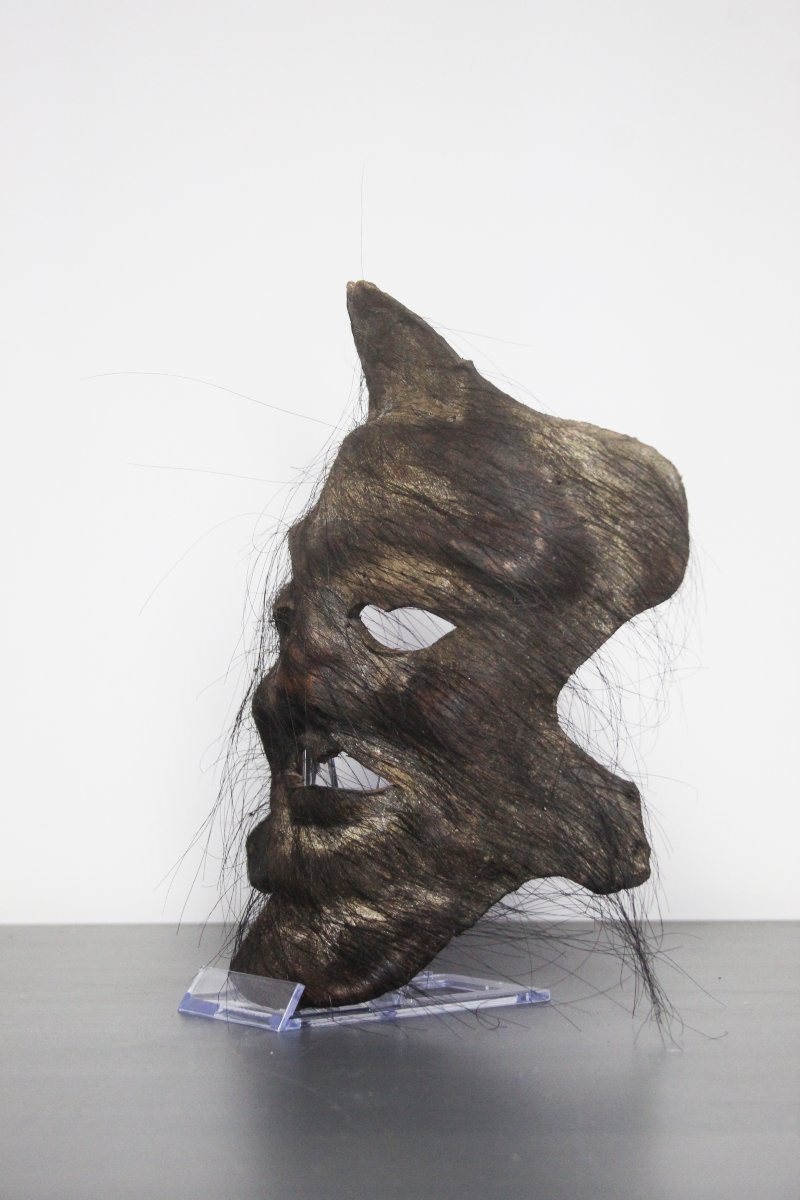 Natural Sculptures, Burl – Spontaneous Organic Formations-photo-4