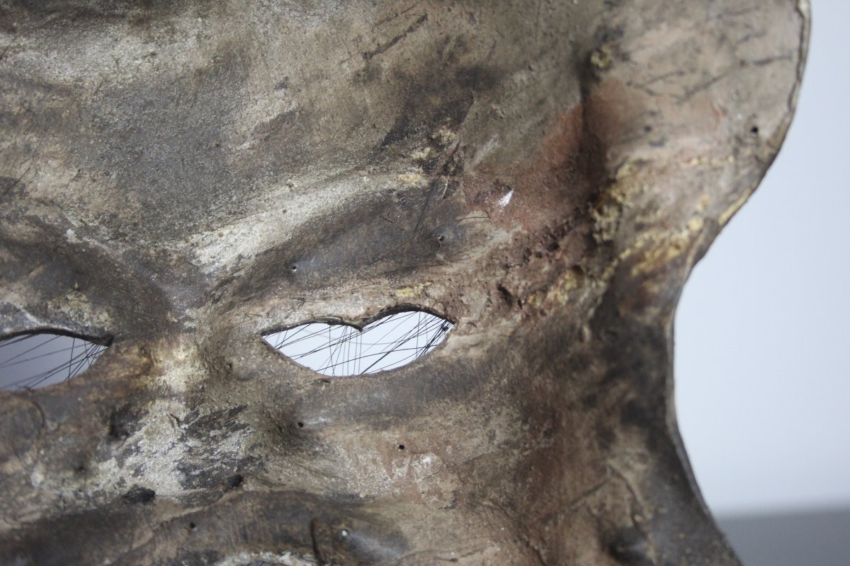 Natural Sculptures, Burl – Spontaneous Organic Formations-photo-4