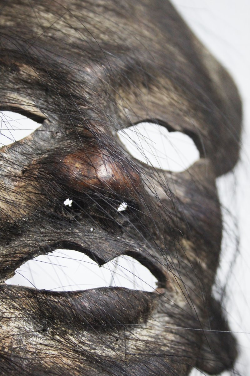 Natural Sculptures, Burl – Spontaneous Organic Formations-photo-5
