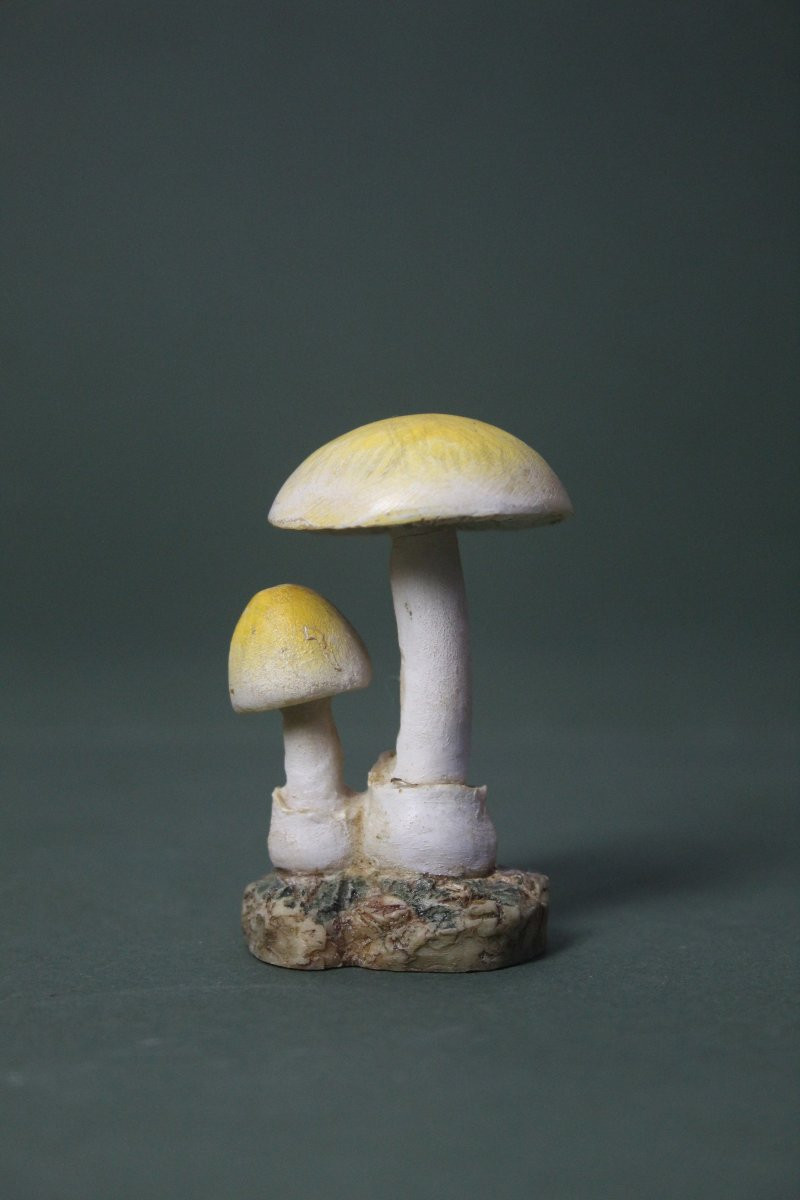 Vintage Collection Of 30 Botanical Mushroom Models-photo-3