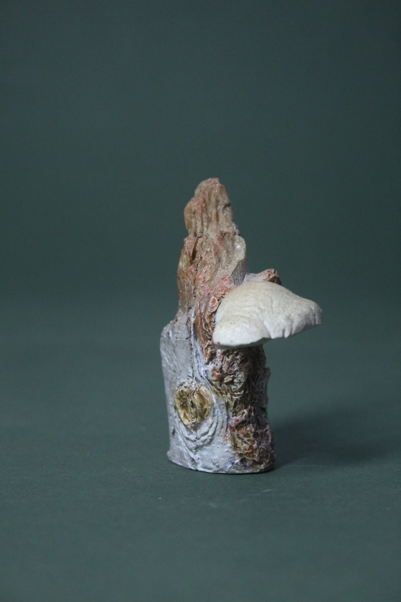 Vintage Collection Of 30 Botanical Mushroom Models-photo-6