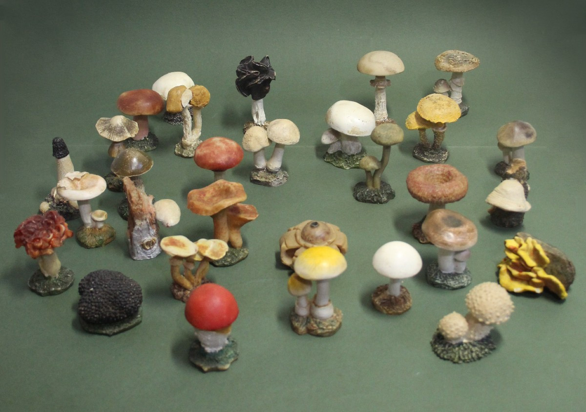 Vintage Collection Of 30 Botanical Mushroom Models