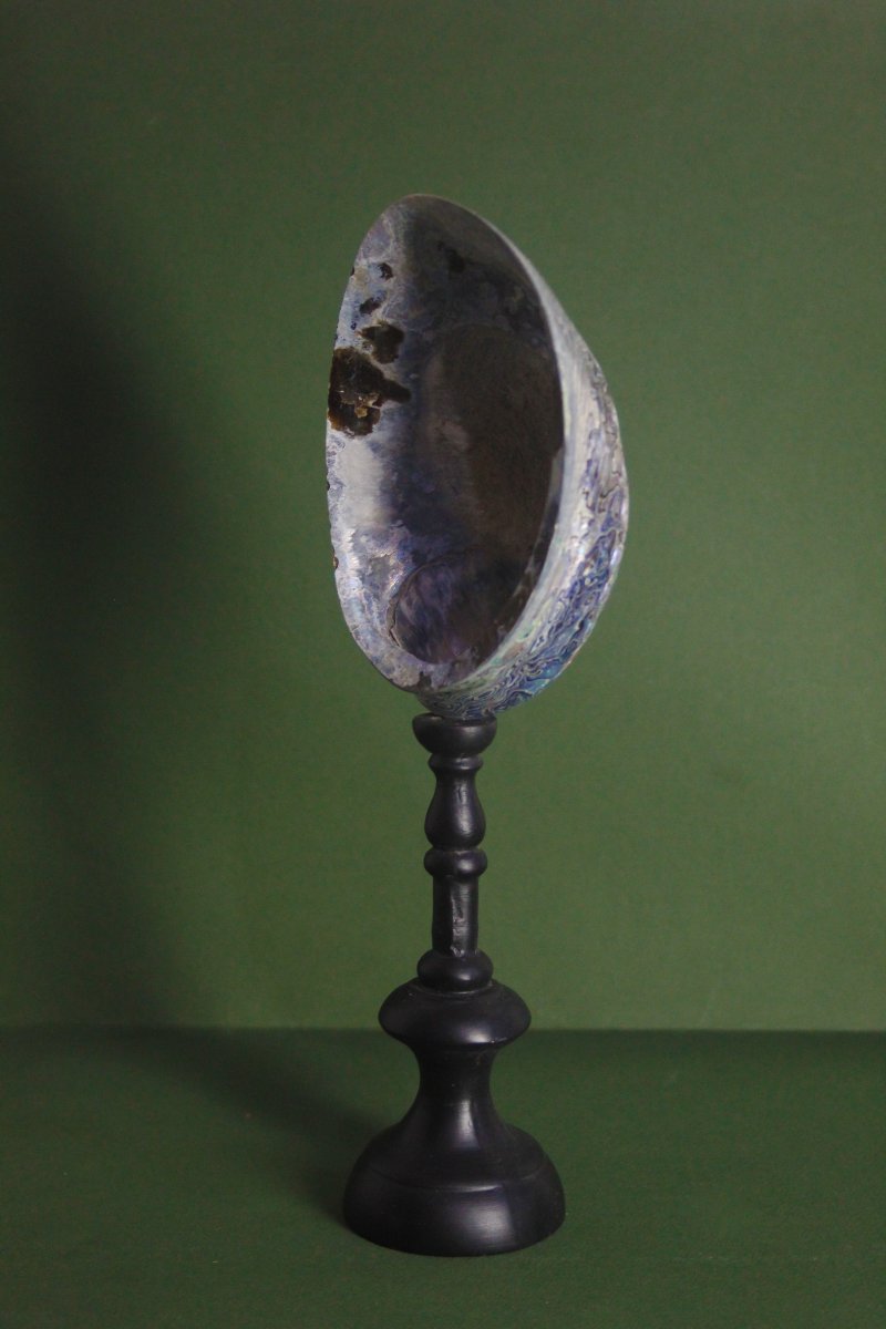 Ormeau nacré, sur socle personnalisé-photo-3