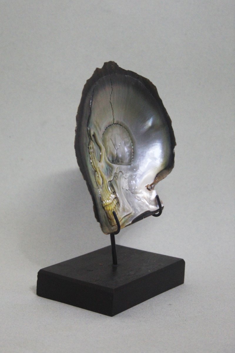 Crâne gravé sur une coquille de nacre-photo-1