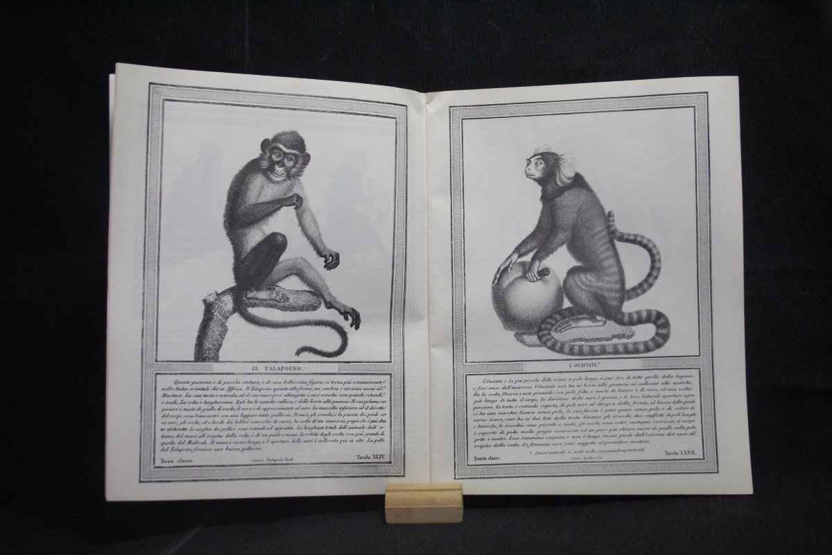 Collection Gazzetta del Bibliofilo-photo-2