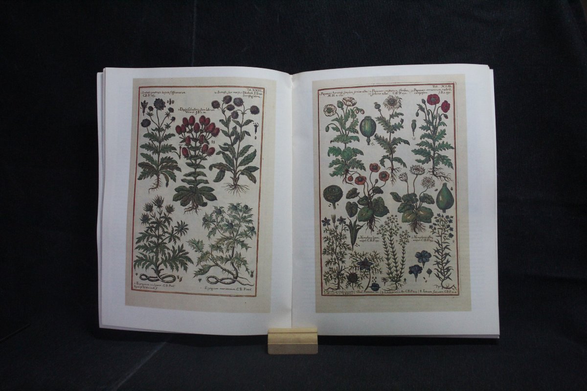 Collection Gazzetta del Bibliofilo-photo-3