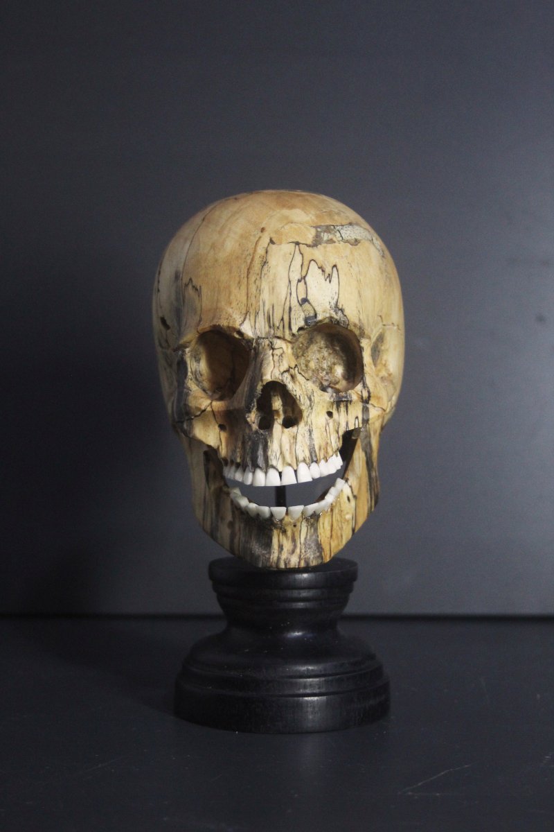 Vanitas, bois de tamarinier et os-photo-2