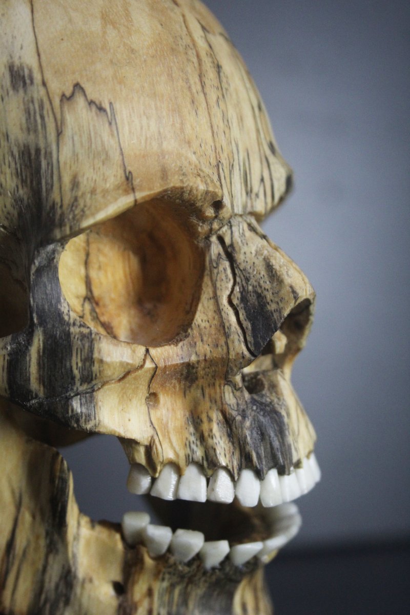 Vanitas, bois de tamarinier et os-photo-3