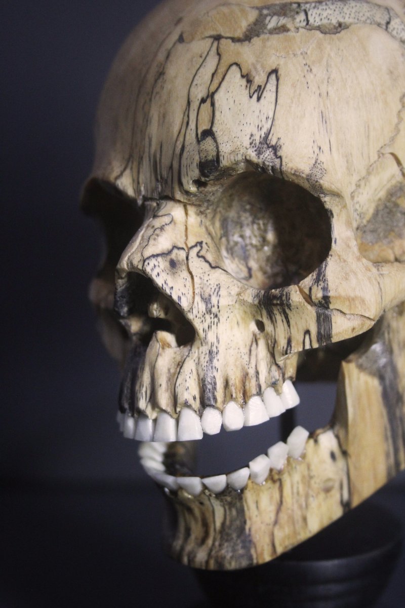 Vanitas, bois de tamarinier et os-photo-4