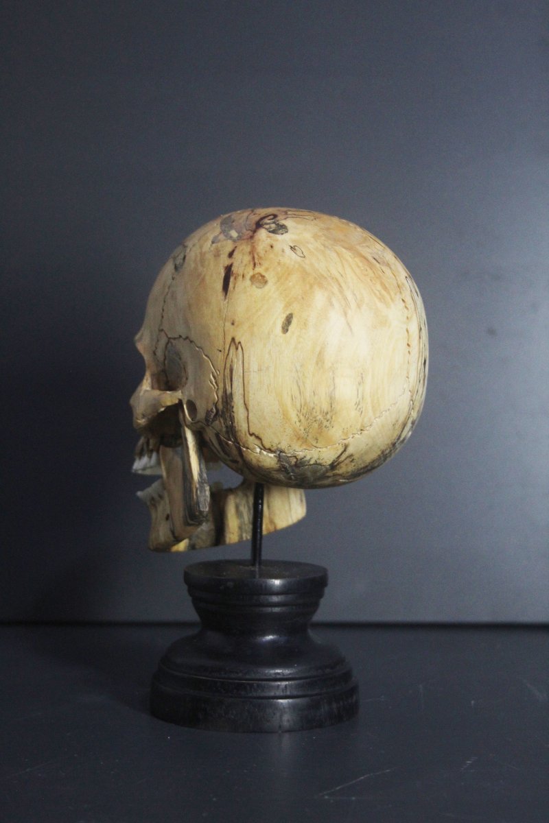 Vanitas, bois de tamarinier et os-photo-1